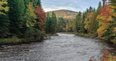 The Connecticut River is the longest in New England