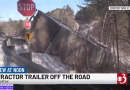 A tractor-trailer carrying a load of eggs went off the road