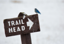 Public Meeting Saturday on Kinsman Trailhead Relocation and Parking Fees Sparks Community Concerns