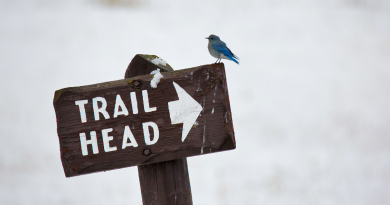 Public Meeting Saturday on Kinsman Trailhead Relocation and Parking Fees Sparks Community Concerns