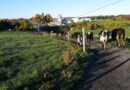 Vermont’s High Costs and the Future of Its Economy: Elizabeth Brown Joins Common Sense Radio