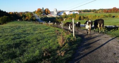 Vermont’s High Costs and the Future of Its Economy: Elizabeth Brown Joins Common Sense Radio