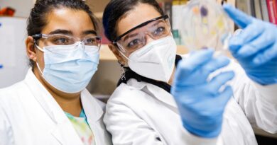 Lyndon Electric Considers Rate Increase; Catamount STEM Lab Secures Grant