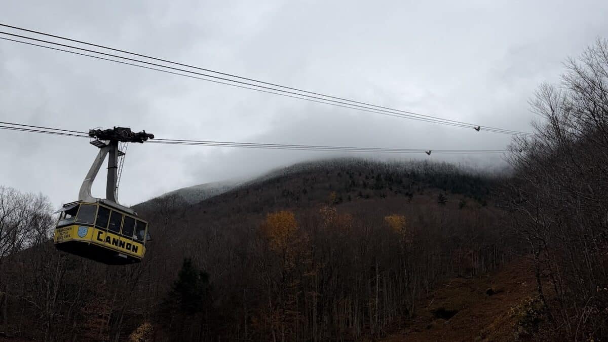 Aerial tramway cabin traveling above a wooded mountainside