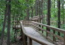 Accessible Trail Opens at Lunenburg Fox Field & Forest