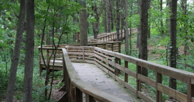 Accessible Trail Opens at Lunenburg Fox Field & Forest