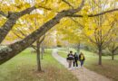 Affordability, Taxes, Regulation and Vermont’s Economic Future