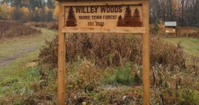 Willey Woods town forest entrance sign