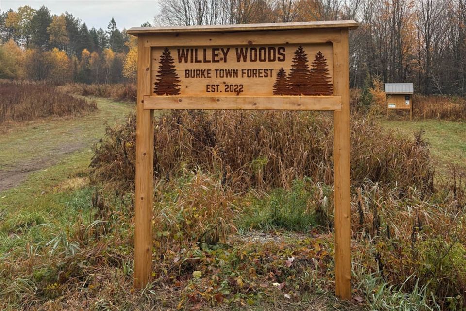 Willey Woods town forest entrance sign