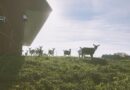 Roger Allbee Discusses 250 Years of Vermont Agriculture on Common Sense Radio