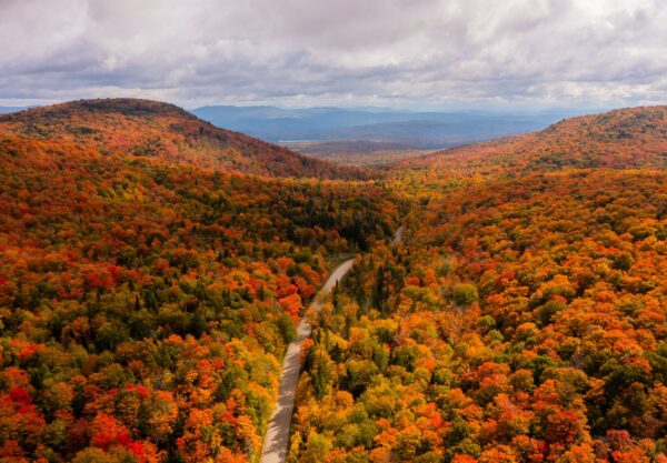 Vermont fall foliage landscape
