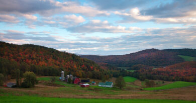 Fall foliage along a rural road near Danville, Vermont