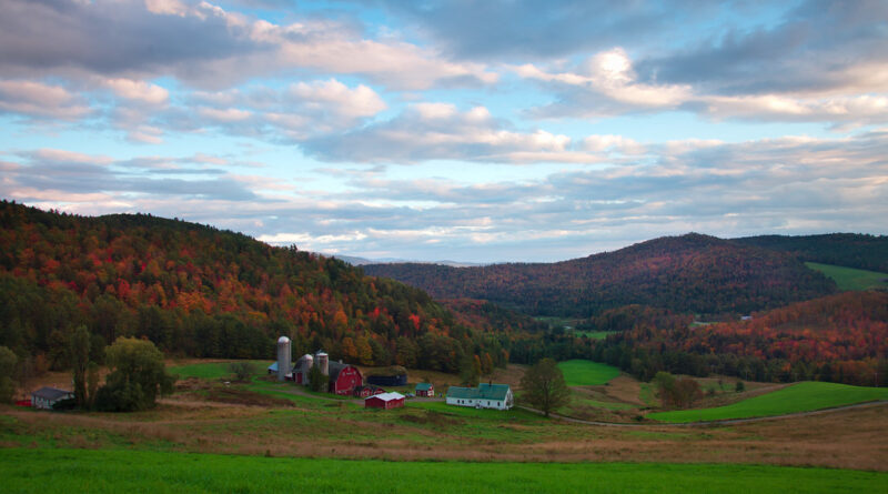 Fall foliage along a rural road near Danville, Vermont