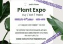 Judd's Plants Plant Expo flyer - Buy / Sell / Trade, October 17th, 2026