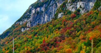 Common Sense Radio: NEK Together and Northeast Kingdom Priorities with Abby Long