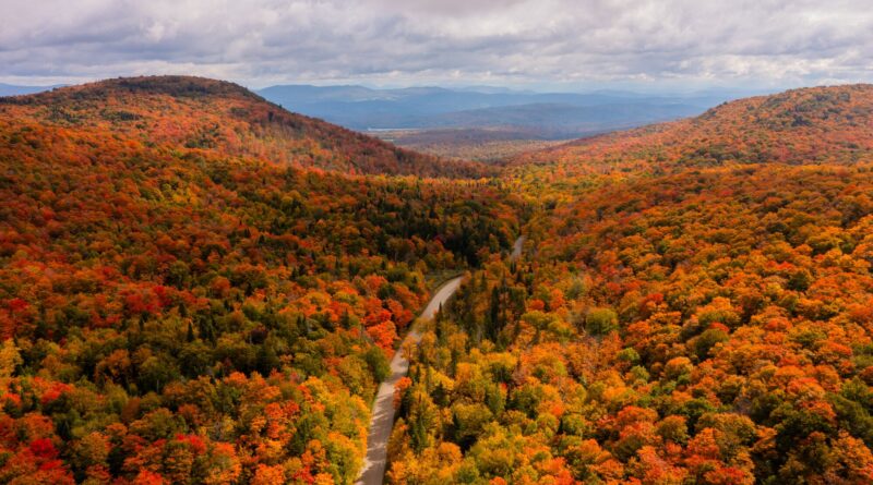 Common Sense Radio: Vermont's Business Climate and Proposition 3 with Elizabeth Brown