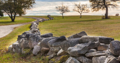 Old New England stone wall winding through a forest