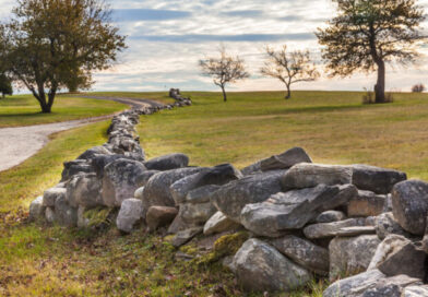Old New England stone wall winding through a forest
