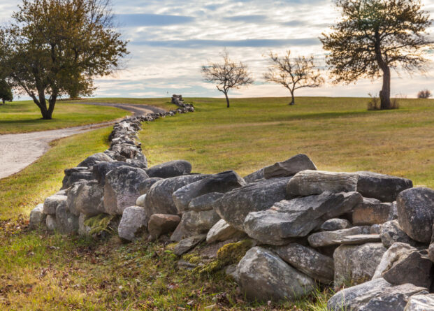 Old New England stone wall winding through a forest