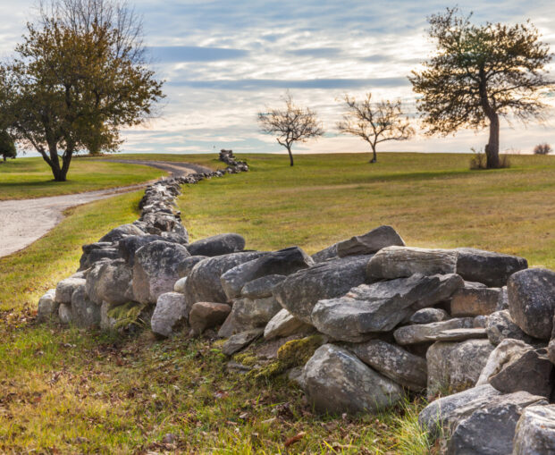 Old New England stone wall winding through a forest