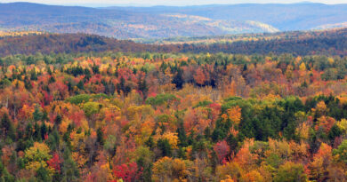 Common Sense Radio: Vermont Taxes, Business Climate and Proposal 3 with John Reynolds of NFIB