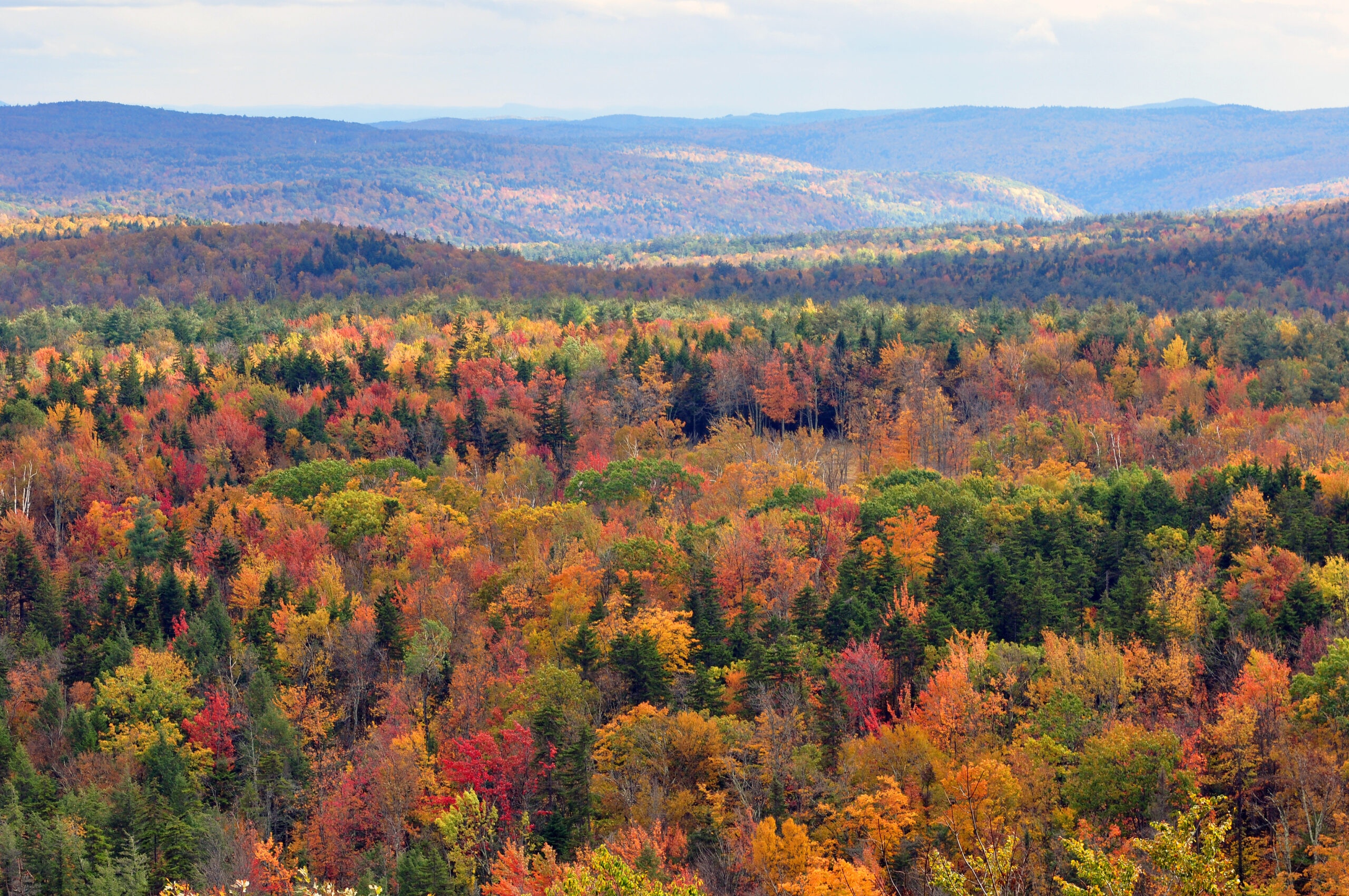 Common Sense Radio: Vermont Taxes, Business Climate and Proposal 3 with John Reynolds of NFIB