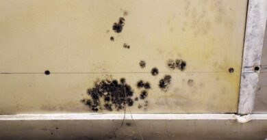 Waterford town garage, where the Select Board approved mold removal