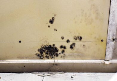 Waterford town garage, where the Select Board approved mold removal