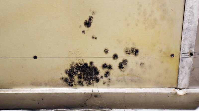 Waterford town garage, where the Select Board approved mold removal