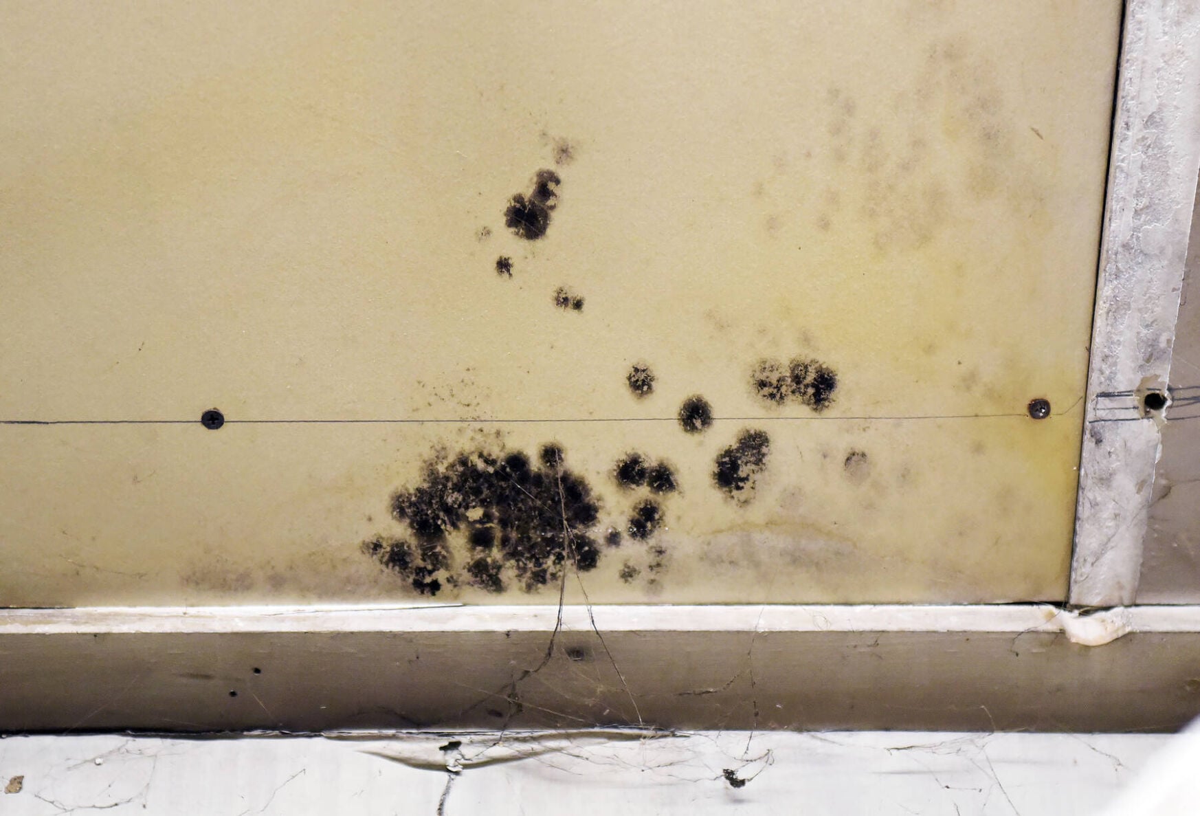 Waterford town garage, where the Select Board approved mold removal