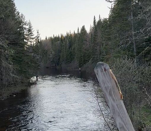 Connecticut Lakes Headwaters Forest Sale Closes on 146,400 Acres