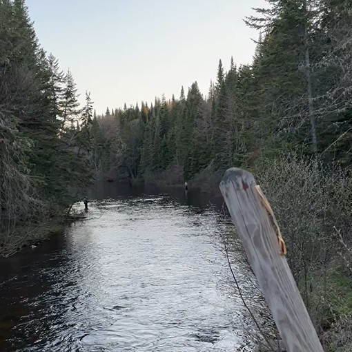 Connecticut Lakes Headwaters Forest Sale Closes on 146,400 Acres